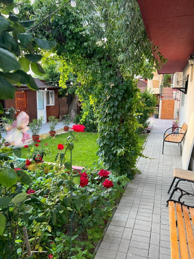 Vila Iris Mamaia Nord ナボダリ エクステリア 写真