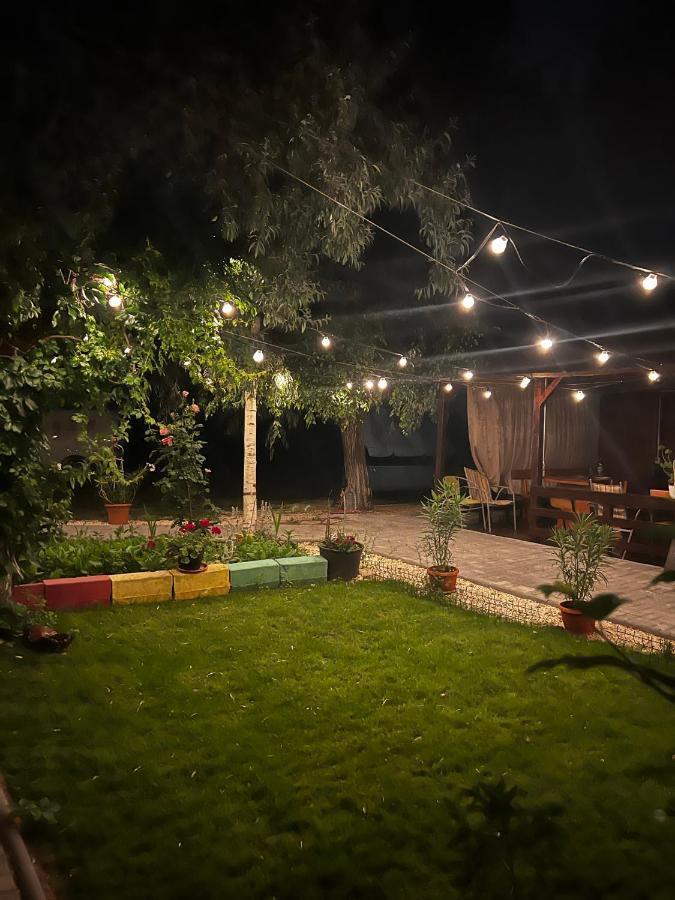 Vila Iris Mamaia Nord ナボダリ エクステリア 写真