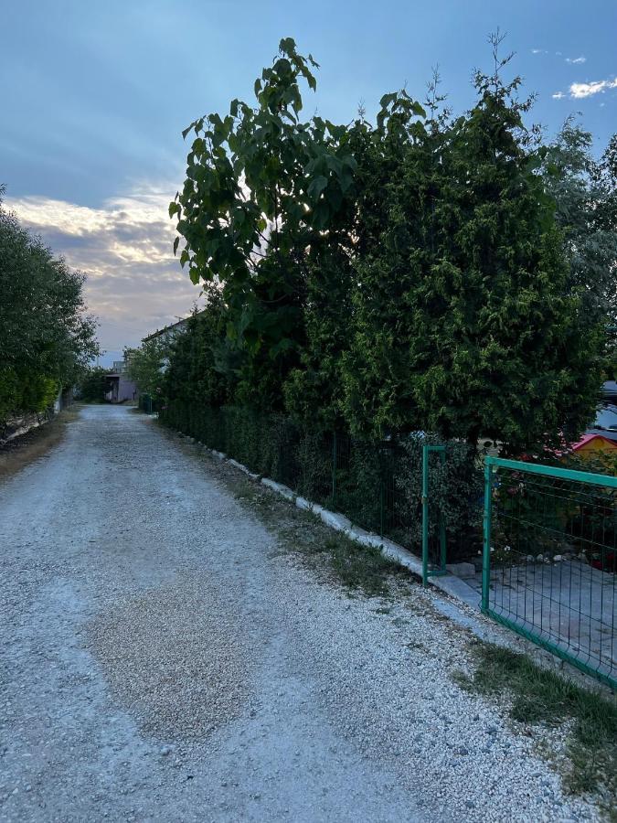 Vila Iris Mamaia Nord ナボダリ エクステリア 写真